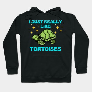 I Just Really Like Tortoises Turtle Animal Wildlife Nature Lover Gifts Hoodie